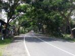 Kampung Keramat Macconggi yang Bikin Merinding