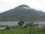 Kisah Mistis Kampung Alehanuae