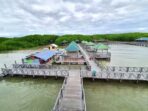 Penampakan Mangrove Tongke-Tongke