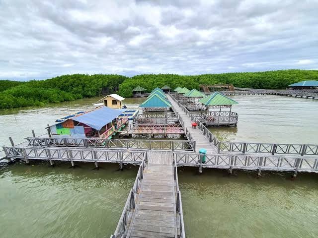 Penampakan Mangrove Tongke-Tongke