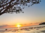 Suasana Wisata Pantai Tete Bone 2025