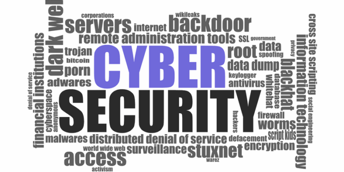 Bahaya Serangan Hacking via DNS pada Website